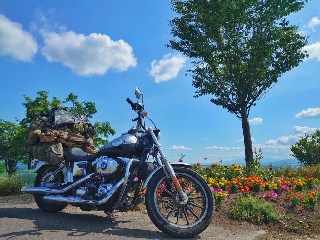 相模原のバイクショップが誘うバイクの冒険　ー　野立て看板が描く未来への道しるべ