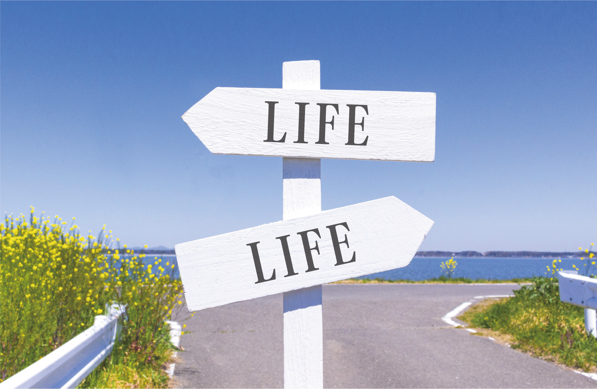 イメージ画像 LIFEと書いてある白い二つの標識
