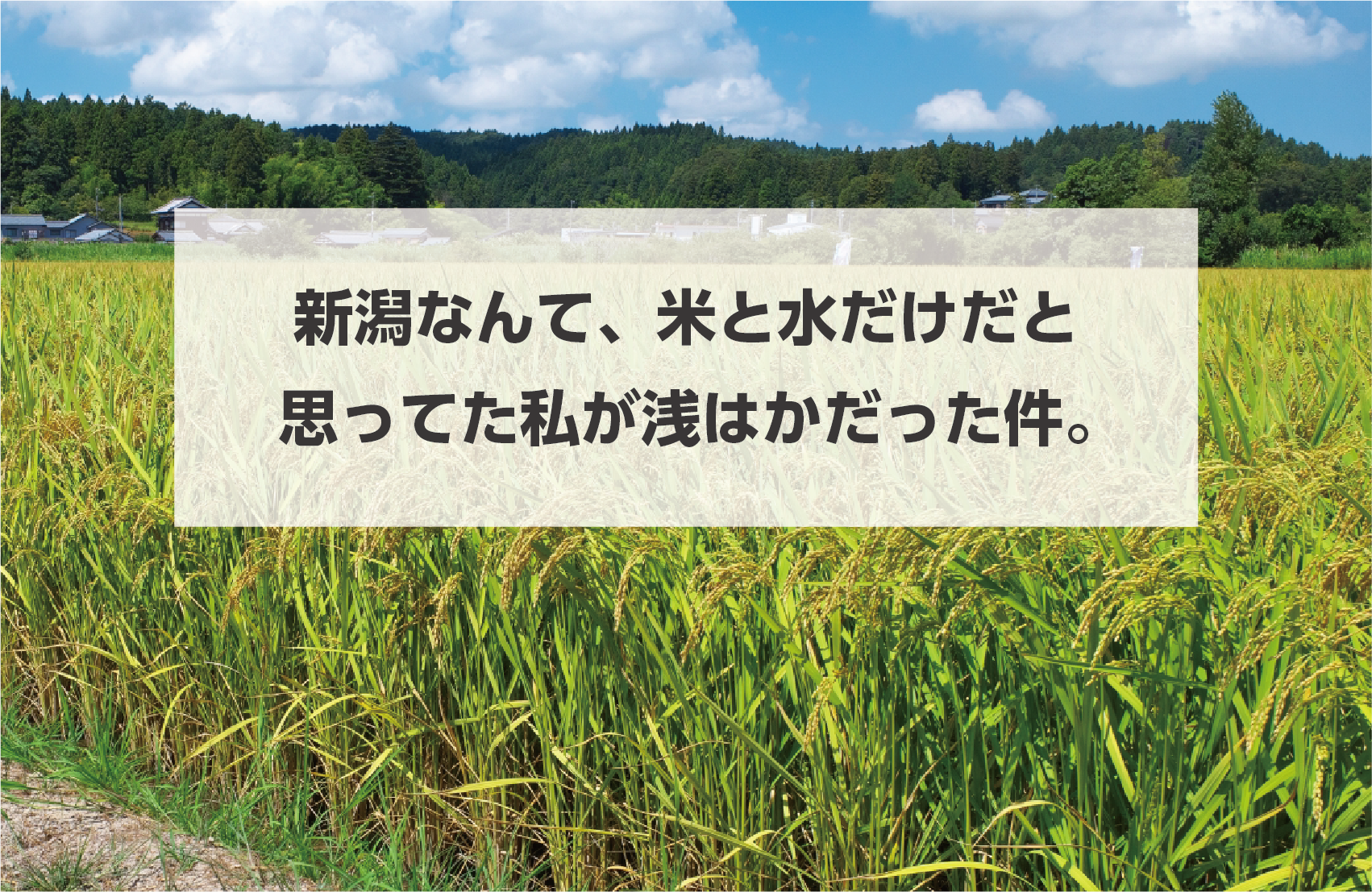 タイトル画像「新潟なんて、米と水だけだと思ってた私が浅はかだった件。」