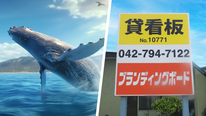 イメージ画像:シロナガスクジラと野立て看板